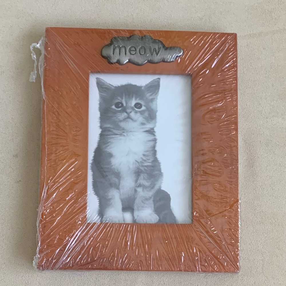 Cat Frame